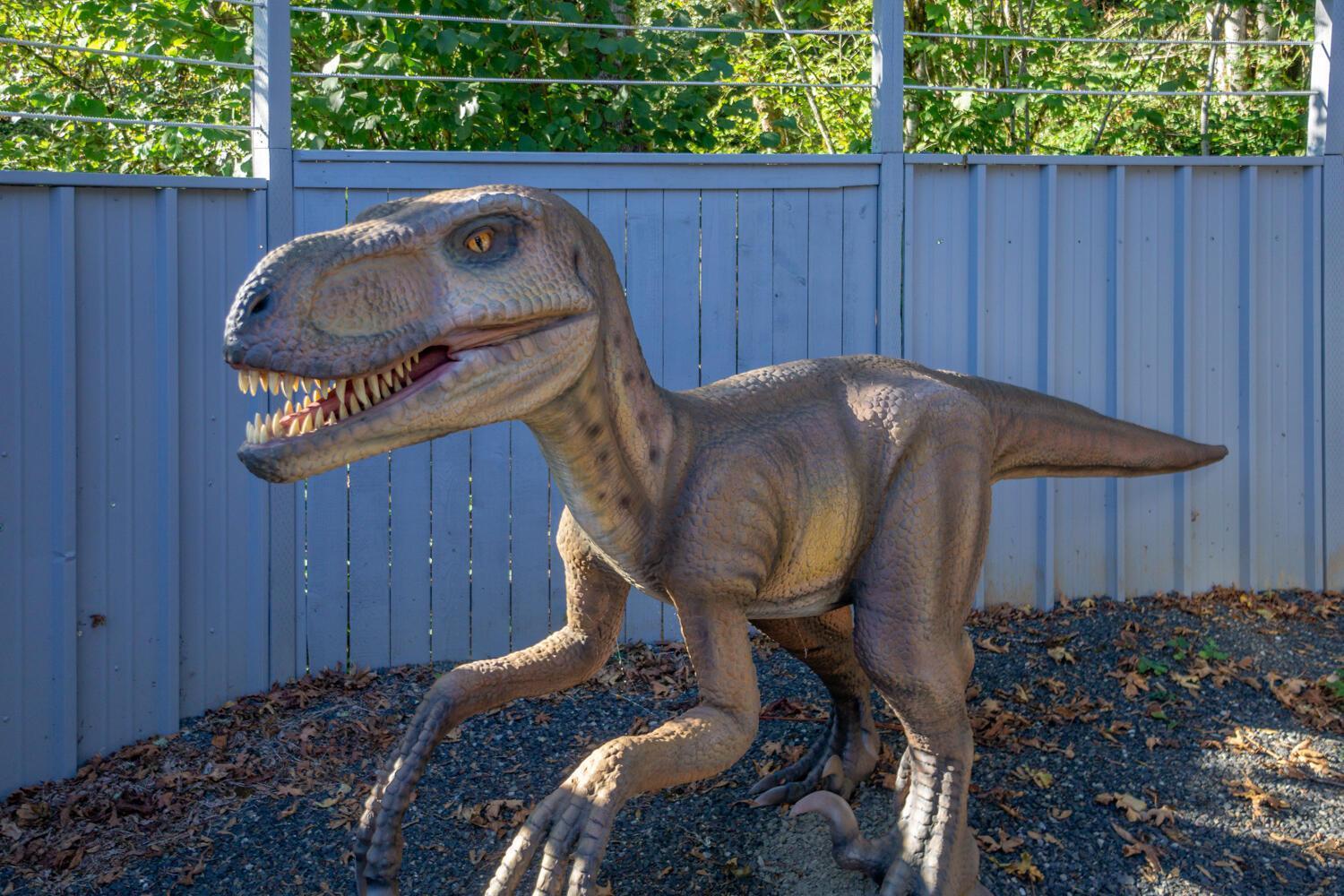 Jurassic Rebirth Out On Jul 2 - Book Your Stay Now (Adults Only) Washougal Exterior foto